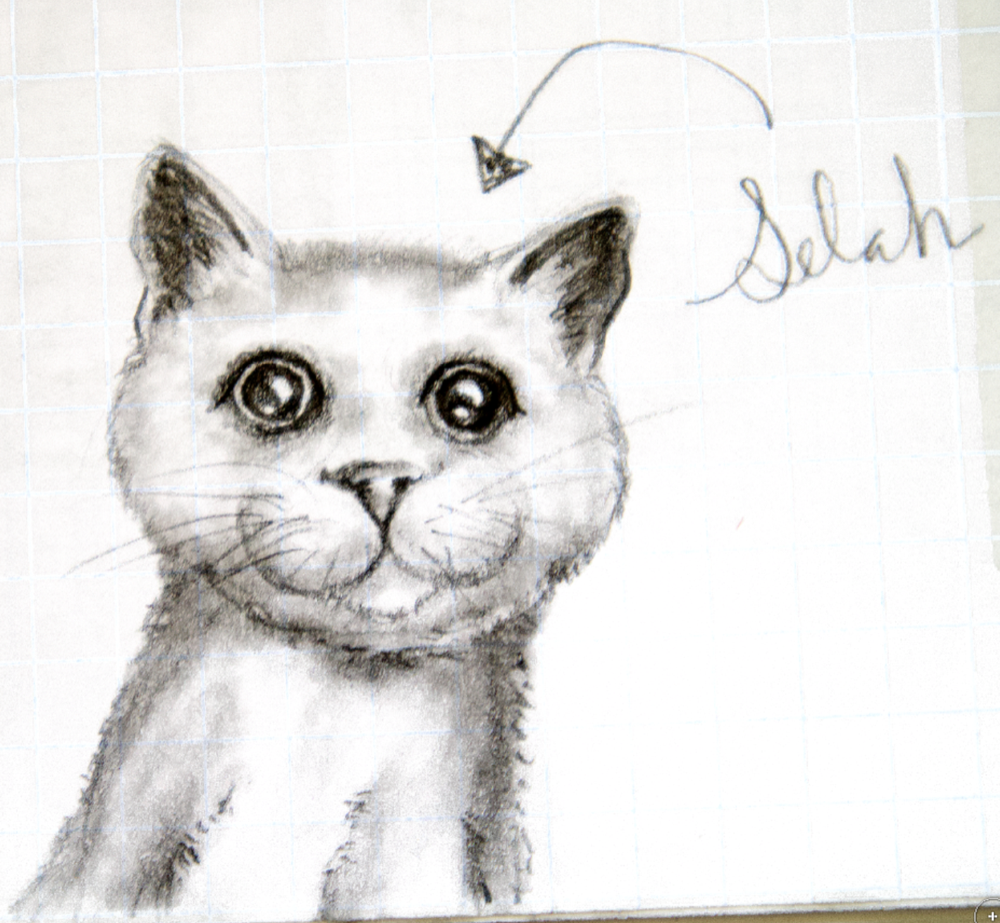 Selah — original character sketch