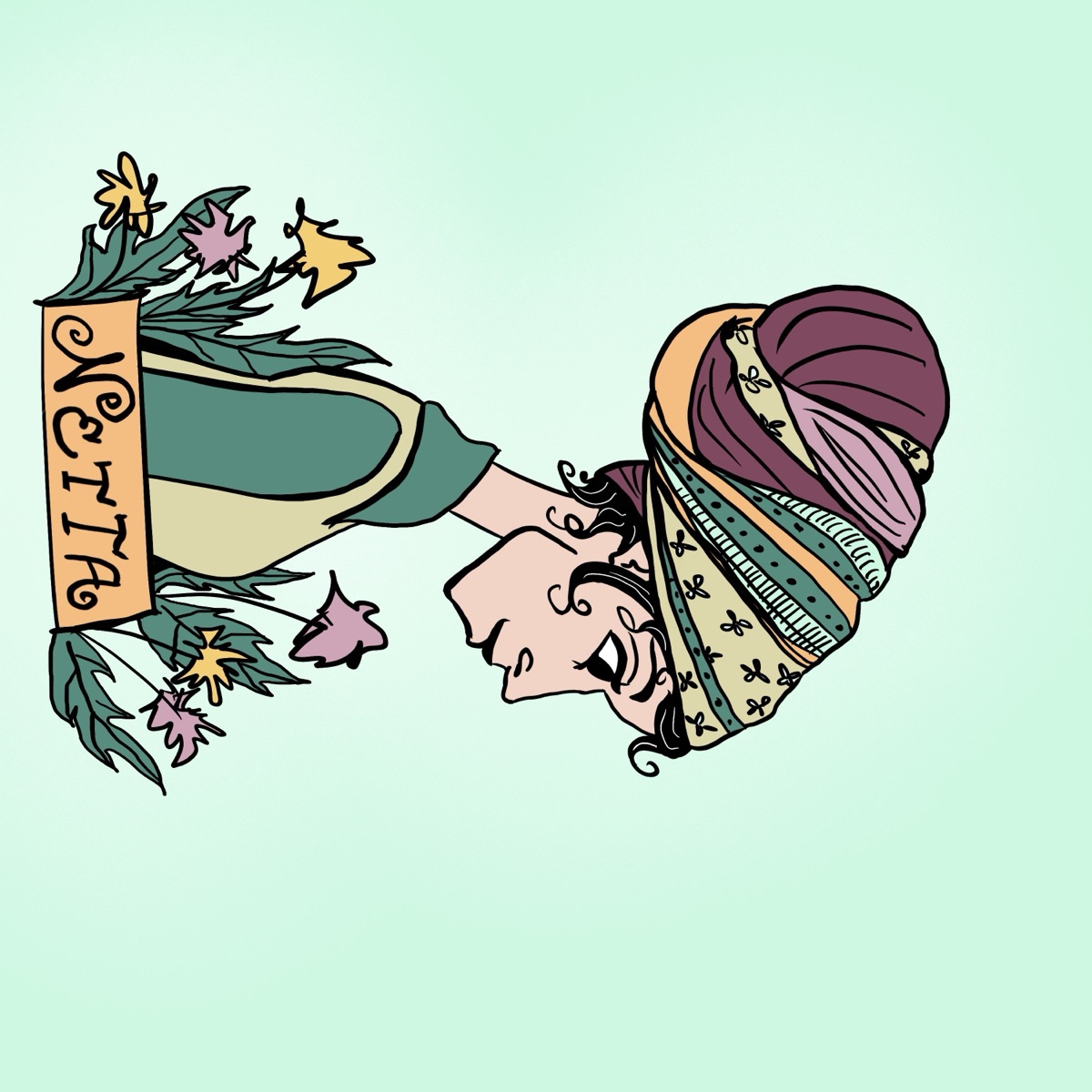 Netta — color illustration